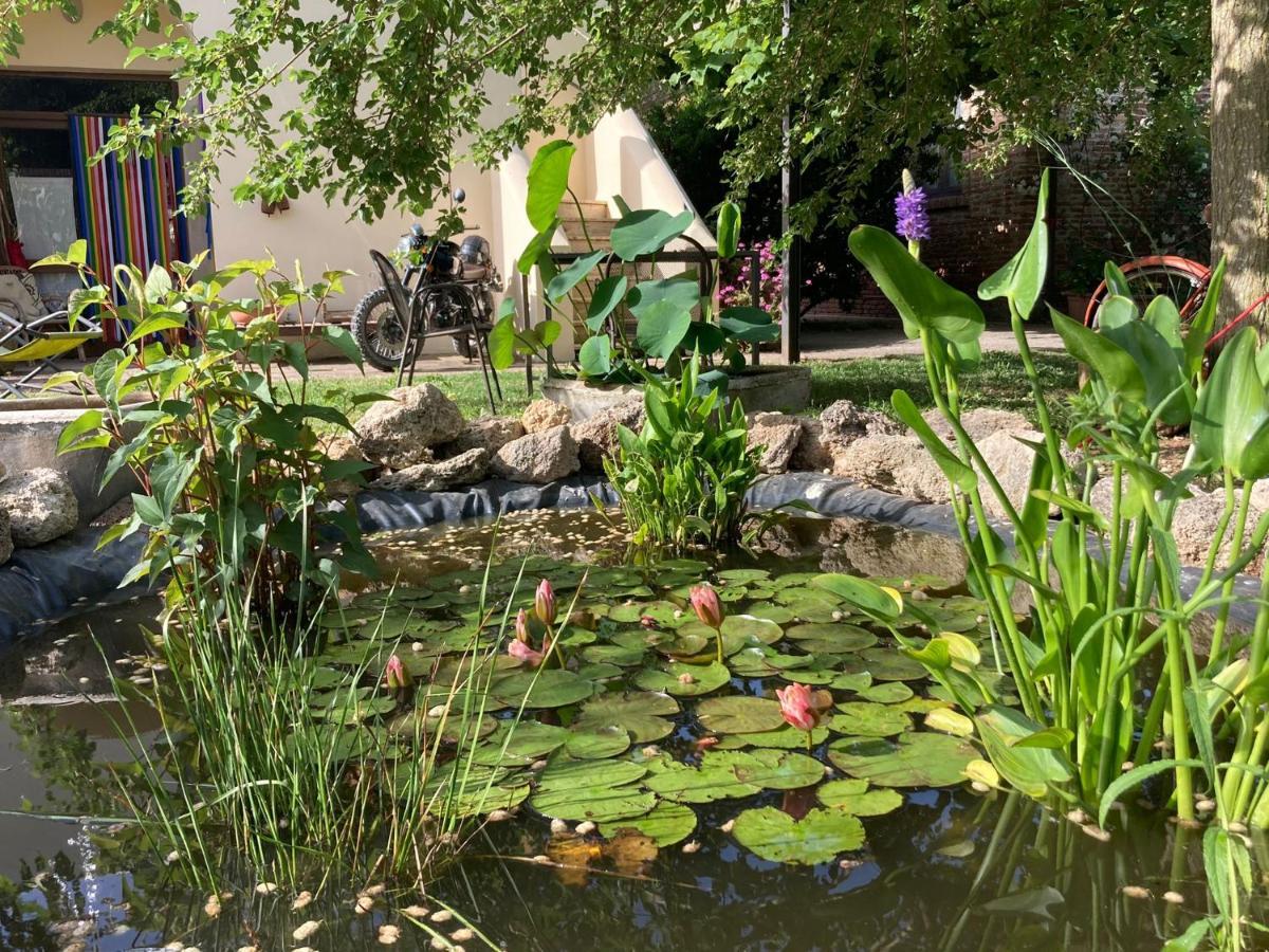 파이스툼 Casa Del Geco B&B 외부 사진